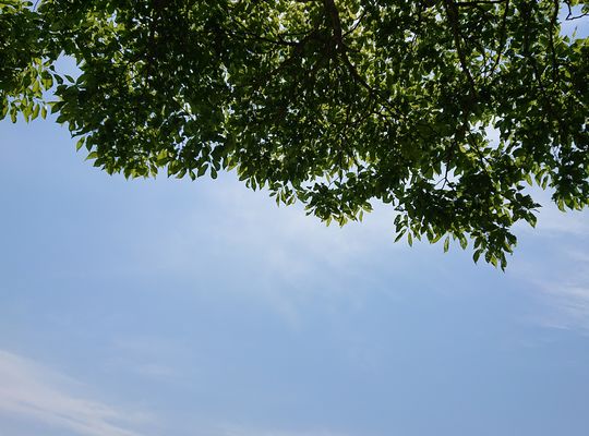 青空