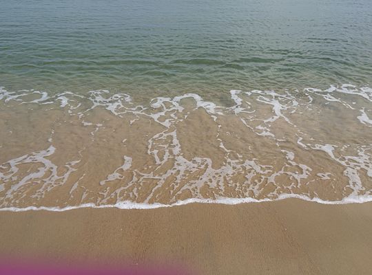 海
