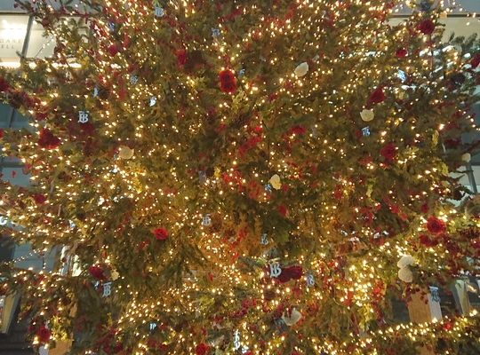 クリスマス