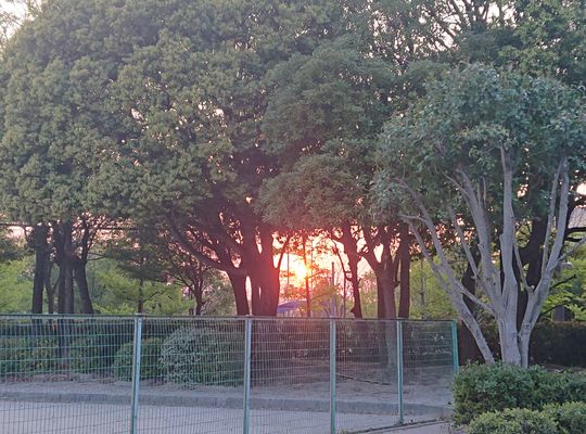 夕陽
